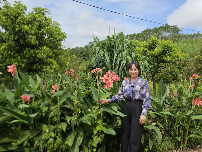 Thôn Khe Sâu (Bắc Ninh): Diện mạo mới trên các tuyến đường - Ảnh 1. Thôn Khe Sâu (Bắc Ninh): Diện mạo mới trên các tuyến đường - Ảnh 1.