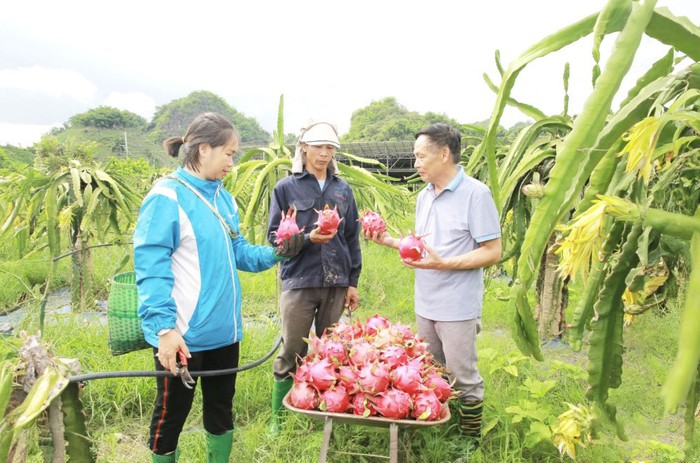 Chuyển đổi số - "Chìa khóa" nâng tầm nông sản địa phương- Ảnh 1. Chuyển đổi số - "Chìa khóa" nâng tầm nông sản địa phương- Ảnh 1.