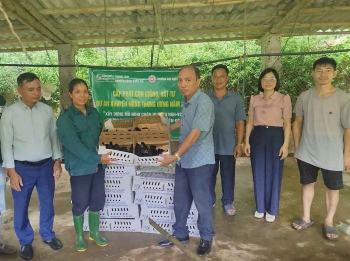 Lào Cai: Hỗ trợ người dân phát triển kinh tế từ mô hình nuôi gà theo hướng VietGAHP- Ảnh 1. Lào Cai: Hỗ trợ người dân phát triển kinh tế từ mô hình nuôi gà theo hướng VietGAHP- Ảnh 1.