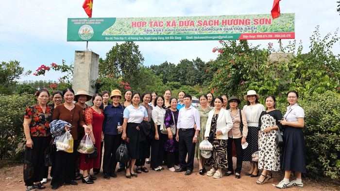 7 giải pháp tăng cường hoạt động giữa Hội LHPN Bắc Ninh và Quỹ TYM- Ảnh 2.