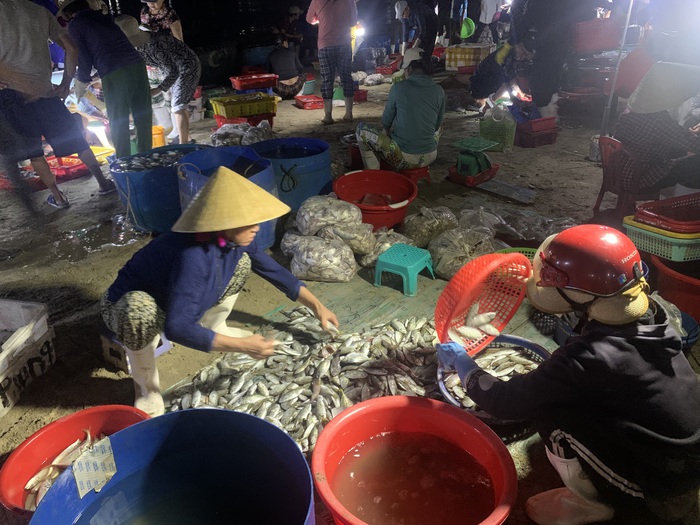 Nghề chài lưới ở biển Mỹ Khê- Ảnh 1.