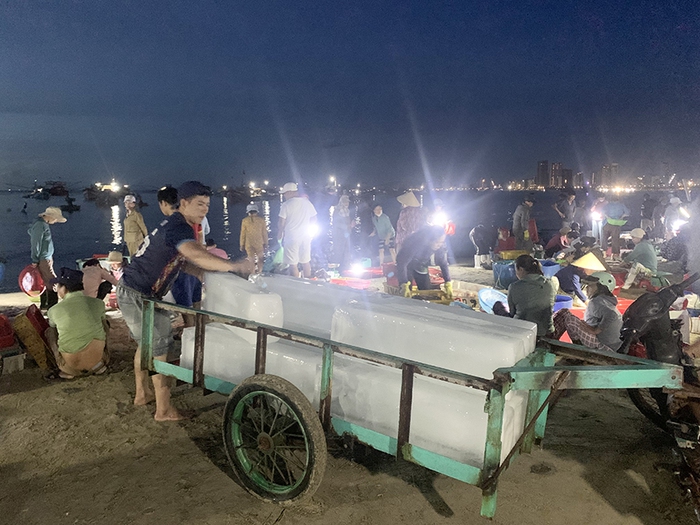 Nghề chài lưới ở biển Mỹ Khê- Ảnh 2.