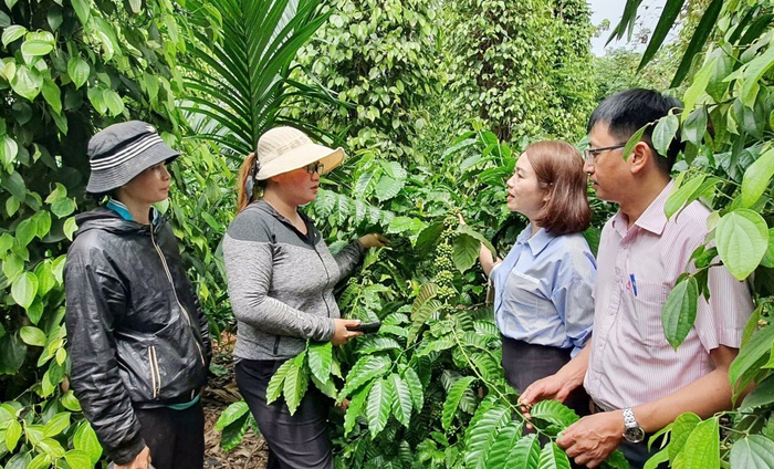 Đắk Lắk: Chính sách vay vốn hỗ trợ đồng bào dân tộc thiểu số giảm nghèo bền vững- Ảnh 2. Đắk Lắk: Chính sách vay vốn hỗ trợ đồng bào dân tộc thiểu số giảm nghèo bền vững- Ảnh 2.