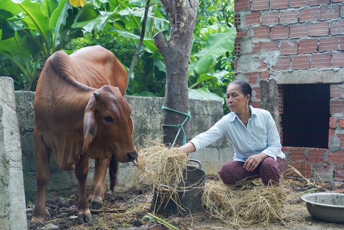 Bỉm Sơn: Đẩy mạnh quảng bá sản phẩm do phụ nữ sản xuất trên nền tảng số- Ảnh 3.