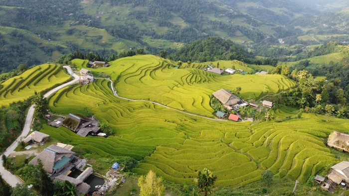 Tuyên Quang: Cơ hội mới cho phụ nữ dân tộc thiểu số sau sáp nhập- Ảnh 1. Tuyên Quang: Cơ hội mới cho phụ nữ dân tộc thiểu số sau sáp nhập- Ảnh 1.