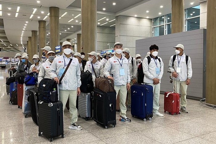 Làm gì để đi xuất khẩu lao động "đúng cửa"?- Ảnh 1. Làm gì để đi xuất khẩu lao động "đúng cửa"?- Ảnh 1.