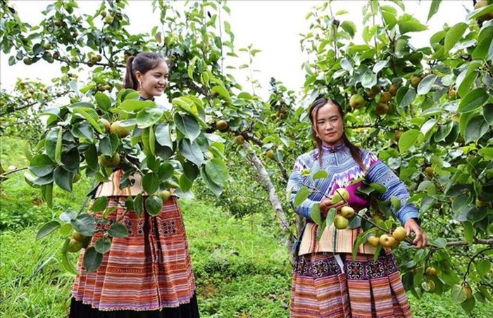 Lào Cai: Đặt mục tiêu giảm tỷ lệ hộ nghèo dưới 4% vào năm 2030- Ảnh 2.