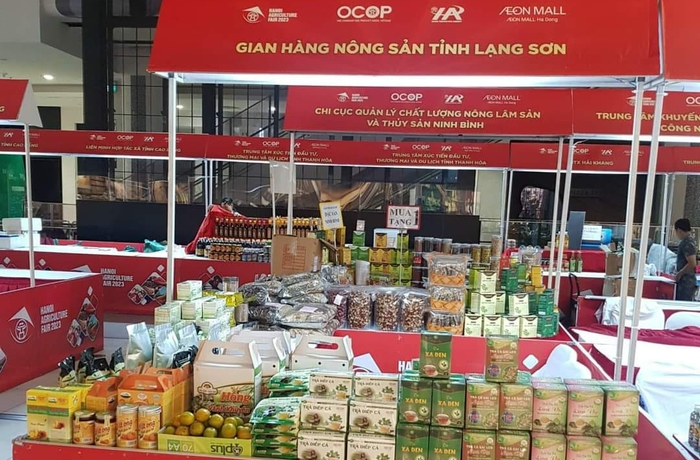 Nữ doanh nhân miền miền núi phát triển dược liệu bản địa- Ảnh 3.