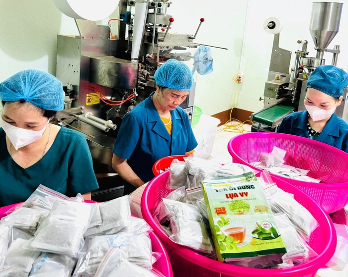 Nữ doanh nhân miền miền núi phát triển dược liệu bản địa- Ảnh 2.
