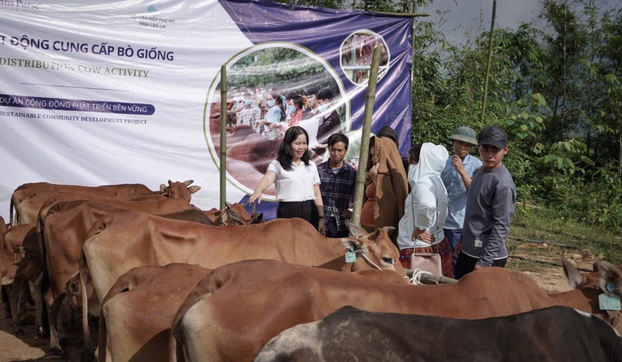 Hỗ trợ 50 mô hình sinh kế cho phụ nữ nghèo- Ảnh 2. Hỗ trợ 50 mô hình sinh kế cho phụ nữ nghèo- Ảnh 2.