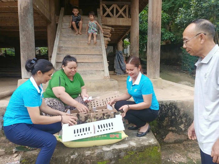 Chăm lo đời sống đồng bào dân tộc thiểu số ngày càng tốt hơn- Ảnh 3.