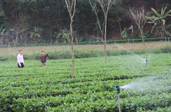 "Đòn bẩy" giúp người dân phát triển kinh tế nông nghiệp hiệu quả- Ảnh 1.