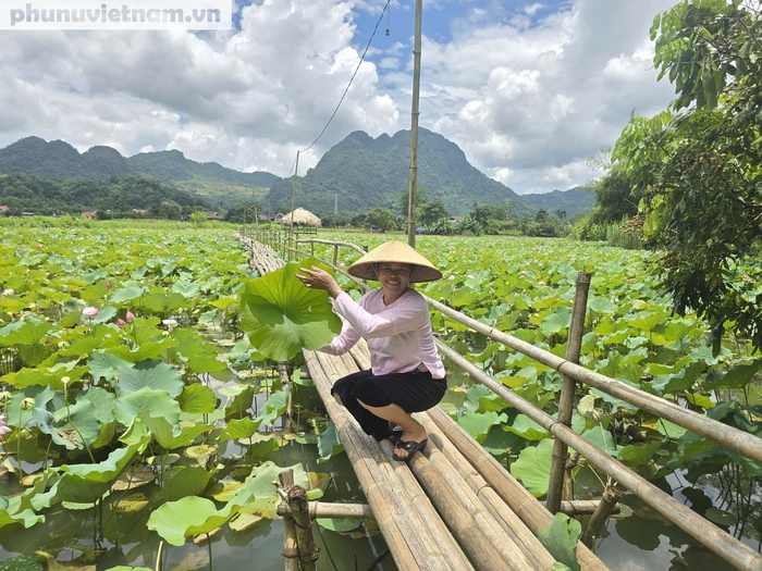 Ý tưởng làm du lịch từ đầm sen quê của người phụ nữ dân tộc Tày - Ảnh 1.