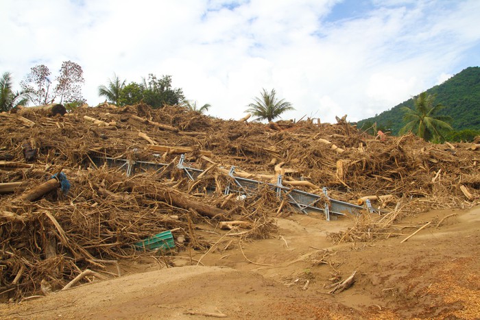 Bản Thái cổ Yên Hòa tan hoang sau lũ dữ, cuộc sống người dân gặp muôn vàn khó khăn- Ảnh 4. Bản Thái cổ Yên Hòa tan hoang sau lũ dữ, cuộc sống người dân gặp muôn vàn khó khăn- Ảnh 4.