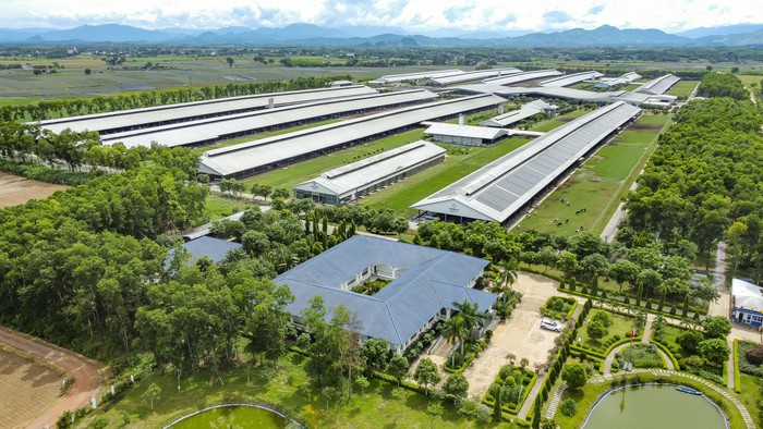 Việt Nam có thương hiệu sữa được đánh giá tiềm năng nhất toàn cầu- Ảnh 3.