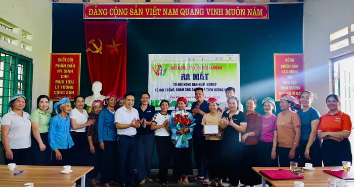 Xã Phú Nhuận xây dựng nông thôn mới từ mô hình trồng chè- Ảnh 2. Xã Phú Nhuận xây dựng nông thôn mới từ mô hình trồng chè- Ảnh 2.
