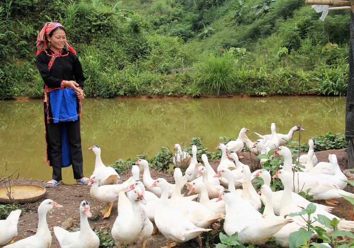Lai Châu: Đổi thay ở xã vùng cao biên giới nhờ phong trào xây dựng nông thôn mới- Ảnh 1. Lai Châu: Đổi thay ở xã vùng cao biên giới nhờ phong trào xây dựng nông thôn mới- Ảnh 1.