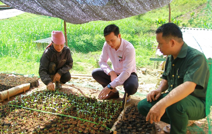 Sơn La: Bước "chuyển mình" ấn tượng trong công tác giảm nghèo bền vững- Ảnh 2. Sơn La: Bước "chuyển mình" ấn tượng trong công tác giảm nghèo bền vững- Ảnh 2.