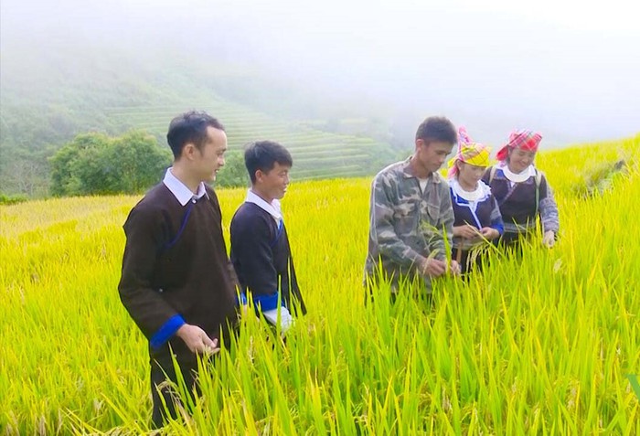 Sơn La: Xây dựng nông thôn mới góp phần thay đổi diện mạo quê hương- Ảnh 1. Sơn La: Xây dựng nông thôn mới góp phần thay đổi diện mạo quê hương- Ảnh 1.