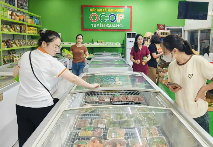 Tuyên Quang: "Chắp cánh" cho các sản phẩm OCOP vươn xa- Ảnh 2. Tuyên Quang: "Chắp cánh" cho các sản phẩm OCOP vươn xa- Ảnh 2.