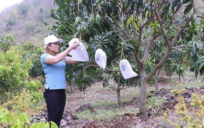 Sơn La: Bước "chuyển mình" ấn tượng trong công tác giảm nghèo bền vững- Ảnh 1. Sơn La: Bước "chuyển mình" ấn tượng trong công tác giảm nghèo bền vững- Ảnh 1.