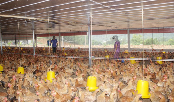 Xã La Hiên đặt mục tiêu về đích nông thôn mới nâng cao trước năm 2030- Ảnh 2.