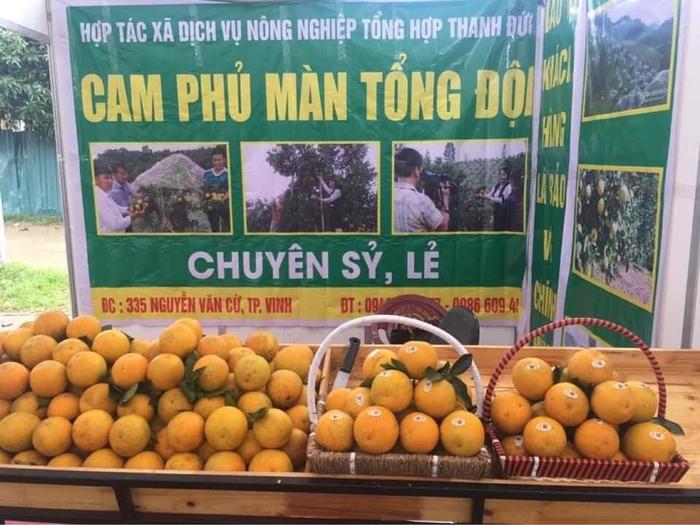 Đẩy mạnh kết nối giao thương, đưa sản phẩm OCOP Nghệ An vươn xa- Ảnh 2. Đẩy mạnh kết nối giao thương, đưa sản phẩm OCOP Nghệ An vươn xa- Ảnh 2.