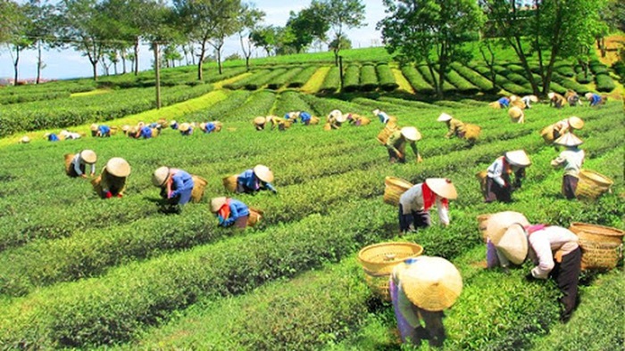 Tạo điều kiện để đồng bào dân tộc thiểu số cùng đất nước bước vào kỷ nguyên phát triển mới- Ảnh 1.