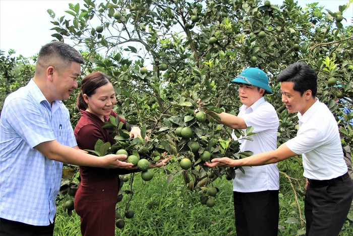Đẩy mạnh kết nối giao thương, đưa sản phẩm OCOP Nghệ An vươn xa- Ảnh 1. Đẩy mạnh kết nối giao thương, đưa sản phẩm OCOP Nghệ An vươn xa- Ảnh 1.