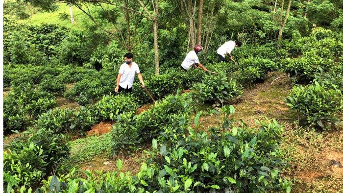Quỹ hỗ trợ nông dân góp phần phát triển kinh tế nông thôn- Ảnh 2. Quỹ hỗ trợ nông dân góp phần phát triển kinh tế nông thôn- Ảnh 2.