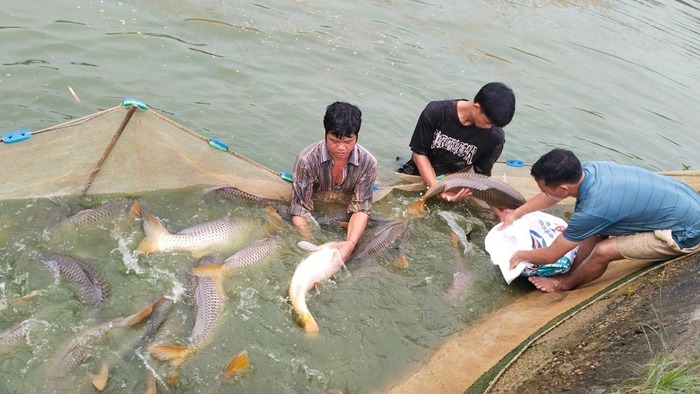 Quỹ hỗ trợ nông dân góp phần phát triển kinh tế nông thôn- Ảnh 1. Quỹ hỗ trợ nông dân góp phần phát triển kinh tế nông thôn- Ảnh 1.