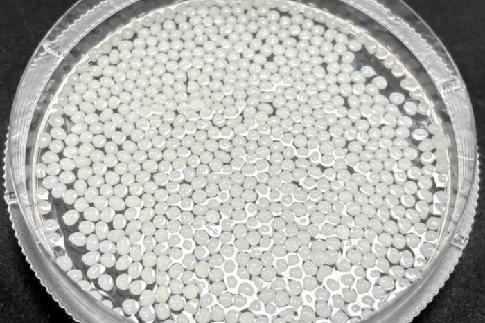 Các vi hạt có nguồn gốc thực vật có thể biến đồ tráng miệng và trà thành món giảm cân- Ảnh 1. Các vi hạt có nguồn gốc thực vật có thể biến đồ tráng miệng và trà thành món giảm cân- Ảnh 1.