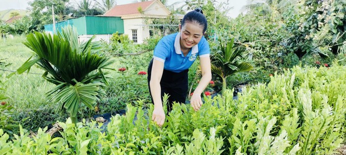 "Hàng cây xanh phụ nữ" tô điểm diện mạo nông thôn mới ở Bình Minh- Ảnh 1. "Hàng cây xanh phụ nữ" tô điểm diện mạo nông thôn mới ở Bình Minh- Ảnh 1.