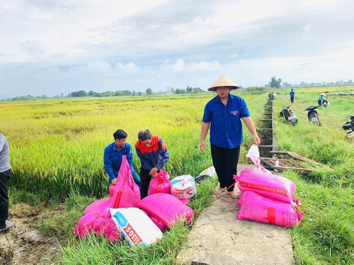 Hà Tĩnh dồn toàn lực ứng phó bão số 5: Gia cố đê biển, sơ tán dân khỏi vùng nguy hiểm- Ảnh 4.