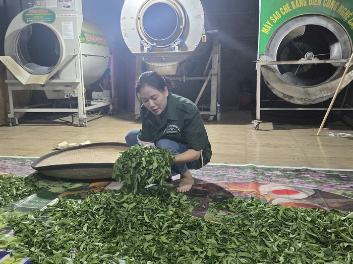 Hành trình đổi mới từ những búp chè xanh- Ảnh 3.