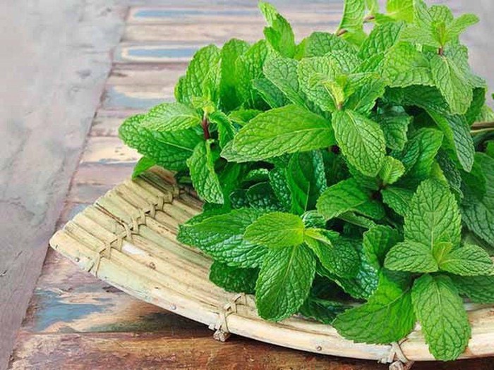 Những mẹo làm đẹp da tại nhà với lá bạc hà- Ảnh 1.