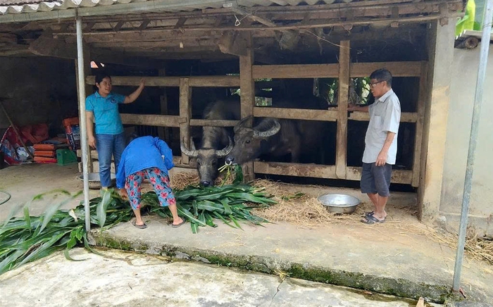 Điểm tựa vốn ủy thác giúp phụ nữ Nghệ An vươn lên thoát nghèo- Ảnh 1. Điểm tựa vốn ủy thác giúp phụ nữ Nghệ An vươn lên thoát nghèo- Ảnh 1.