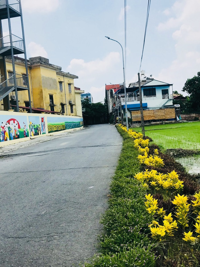 Phụ nữ Lương Tài, Bắc Ninh cùng tạo diện mạo nông thôn mới đầy sức sống- Ảnh 6. Phụ nữ Lương Tài, Bắc Ninh cùng tạo diện mạo nông thôn mới đầy sức sống- Ảnh 6.