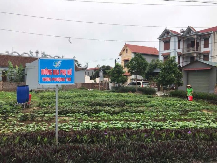 Phụ nữ Lương Tài, Bắc Ninh cùng tạo diện mạo nông thôn mới đầy sức sống- Ảnh 5. Phụ nữ Lương Tài, Bắc Ninh cùng tạo diện mạo nông thôn mới đầy sức sống- Ảnh 5.