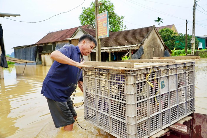 Nghệ An: Nước lũ lên cao, di dời gần 300 hộ dân đến nơi an toàn- Ảnh 5. Nghệ An: Nước lũ lên cao, di dời gần 300 hộ dân đến nơi an toàn- Ảnh 5.