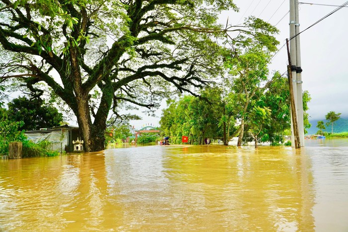 Nghệ An: Nước lũ lên cao, di dời gần 300 hộ dân đến nơi an toàn- Ảnh 2. Nghệ An: Nước lũ lên cao, di dời gần 300 hộ dân đến nơi an toàn- Ảnh 2.