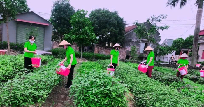Phụ nữ Lương Tài, Bắc Ninh cùng tạo diện mạo nông thôn mới đầy sức sống- Ảnh 2. Phụ nữ Lương Tài, Bắc Ninh cùng tạo diện mạo nông thôn mới đầy sức sống- Ảnh 2.