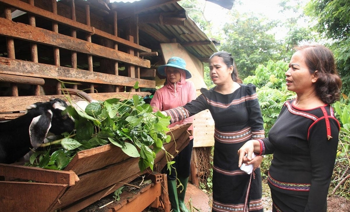 5 giải pháp then chốt giúp phụ nữ dân tộc thiểu số thoát nghèo bền vững- Ảnh 1. 5 giải pháp then chốt giúp phụ nữ dân tộc thiểu số thoát nghèo bền vững- Ảnh 1.
