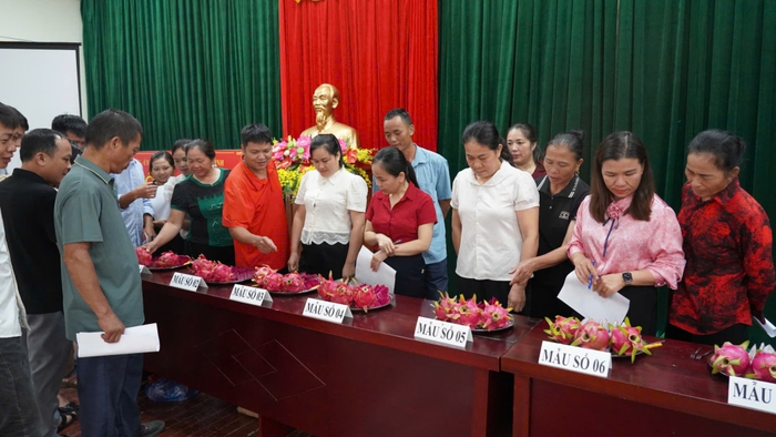 Cao Bằng: Phát triển nhãn hiệu Thanh Long Nguyên Bình- Ảnh 2. Cao Bằng: Phát triển nhãn hiệu Thanh Long Nguyên Bình- Ảnh 2.