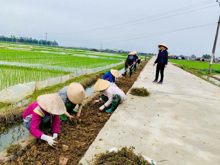 Phụ nữ Gia Bình lan tỏa nếp sống xanh từ những việc nhỏ- Ảnh 4. Phụ nữ Gia Bình lan tỏa nếp sống xanh từ những việc nhỏ- Ảnh 4.