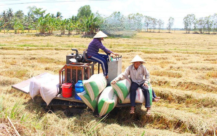 Hiệu quả của Chính sách giảm nghèo giai đoạn 2021-2025- Ảnh 3.
