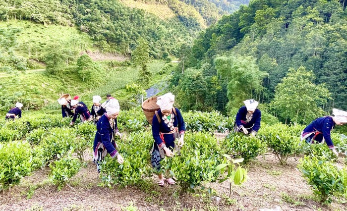 Hiệu quả của Chính sách giảm nghèo giai đoạn 2021-2025- Ảnh 1.