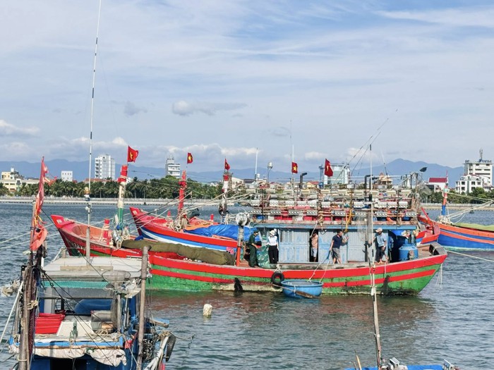 Quảng Trị khẩn trương ứng phó bão số 6: Hơn 14.000 hộ dân trong diện phải sơ tán- Ảnh 3. Quảng Trị khẩn trương ứng phó bão số 6: Hơn 14.000 hộ dân trong diện phải sơ tán- Ảnh 3.