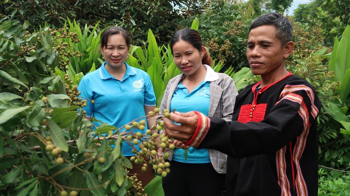 Trưởng buôn "nói không với thuốc lá"- Ảnh 2. Trưởng buôn "nói không với thuốc lá"- Ảnh 2.
