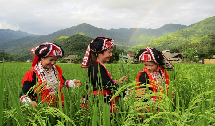 Bình đẳng giới - chìa khóa phát triển bền vững vùng dân tộc thiểu số- Ảnh 3. Bình đẳng giới - chìa khóa phát triển bền vững vùng dân tộc thiểu số- Ảnh 3.